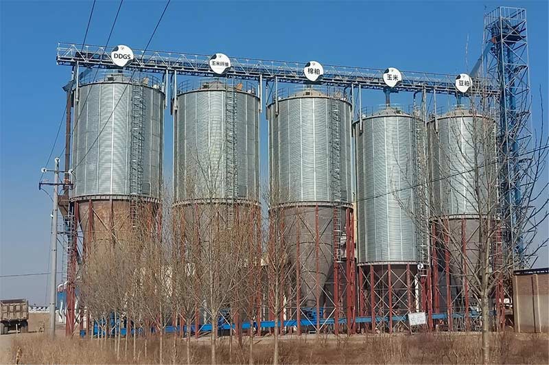 1661327697353760.jpg 15.jpg