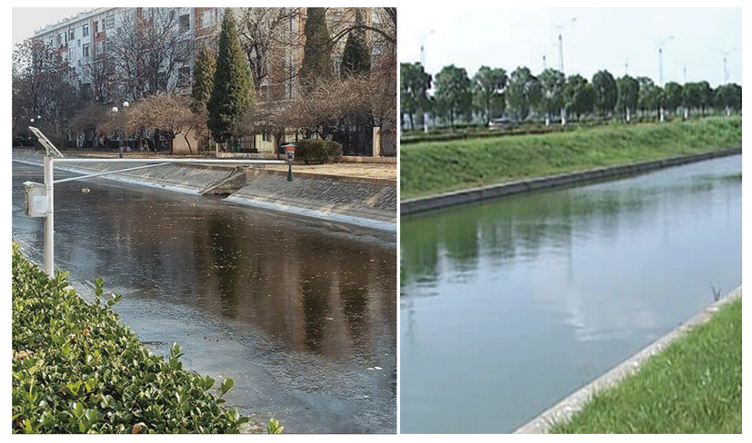 1664160950859778.png 2.png