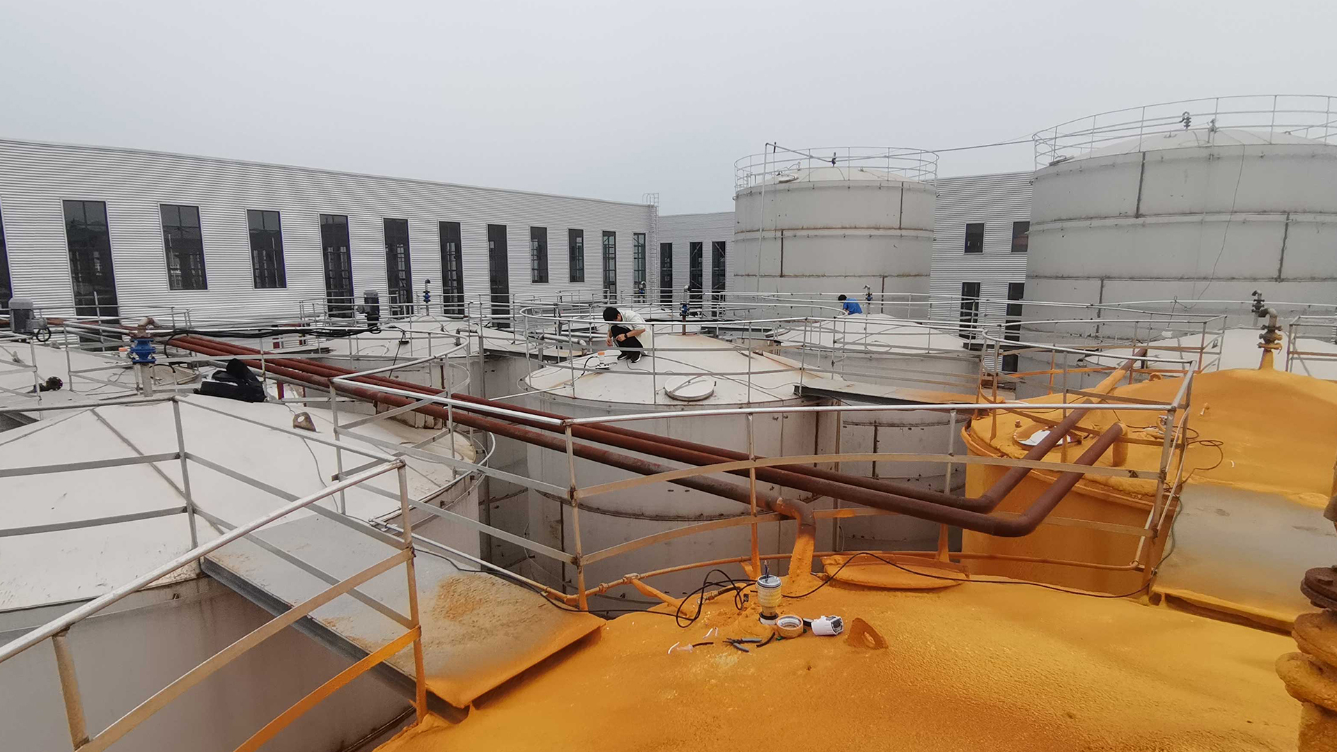 1696835293389291.jpg 1696835293389291.jpg