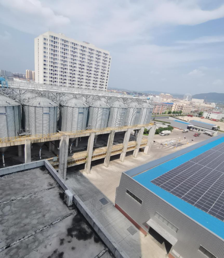 1730969269721753.png image.png